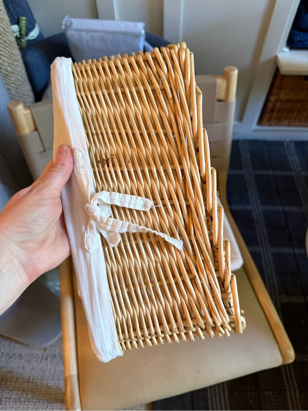Woven Baskets with Fabric Liners
